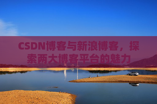CSDN博客与新浪博客，探索两大博客平台的魅力